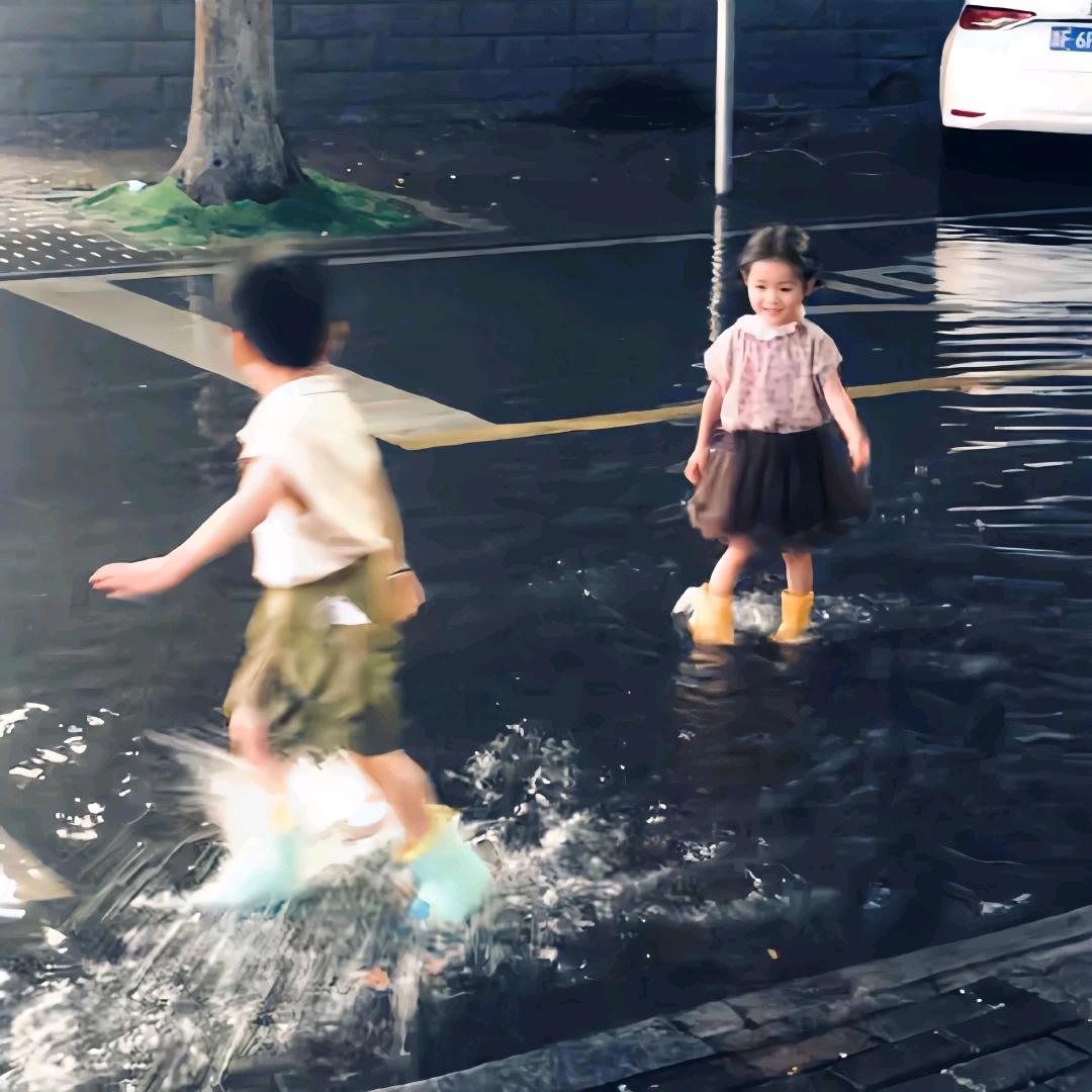 知桉