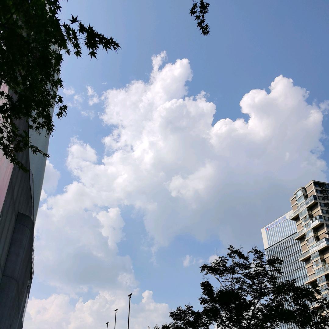 我不懂