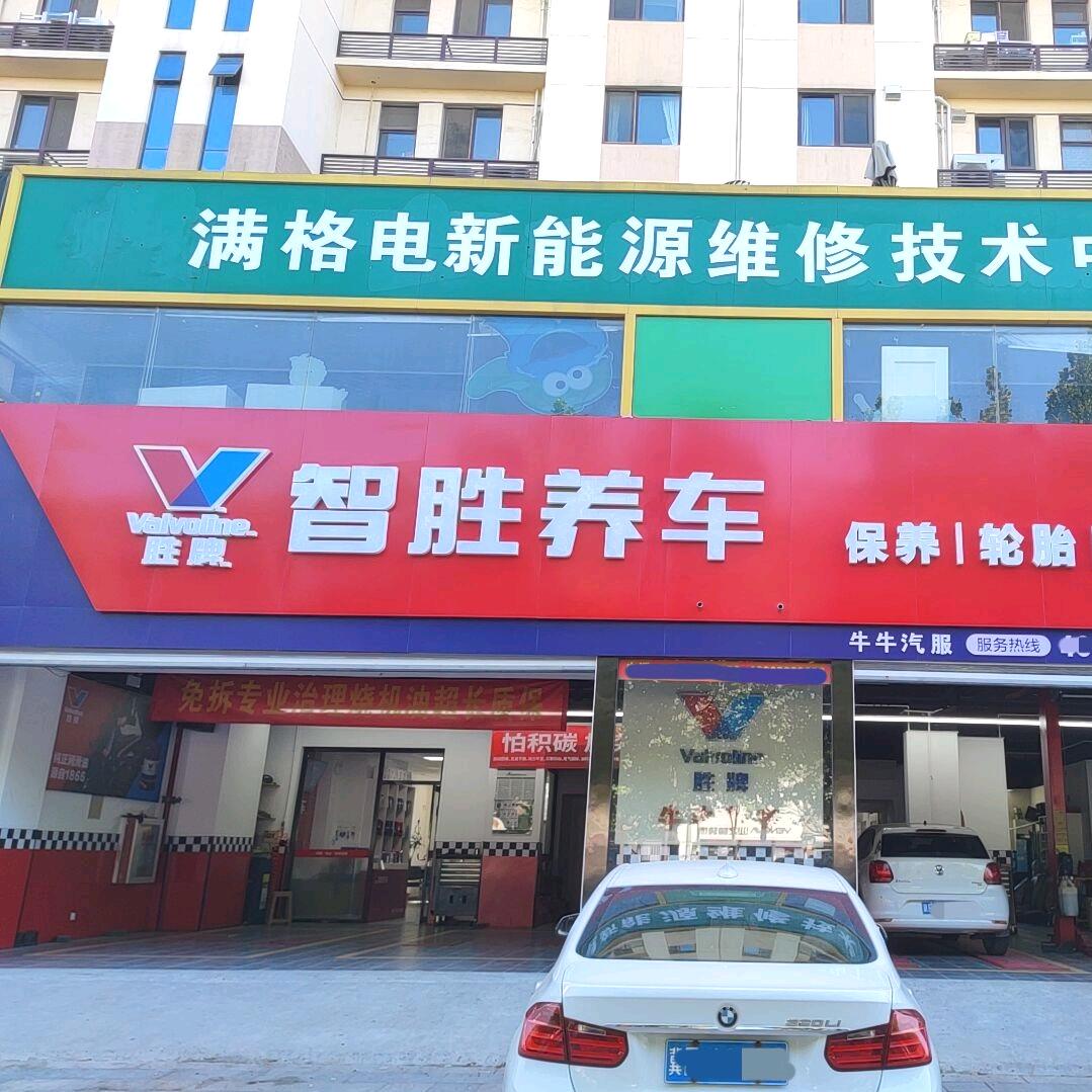 智胜养车@蔺启
