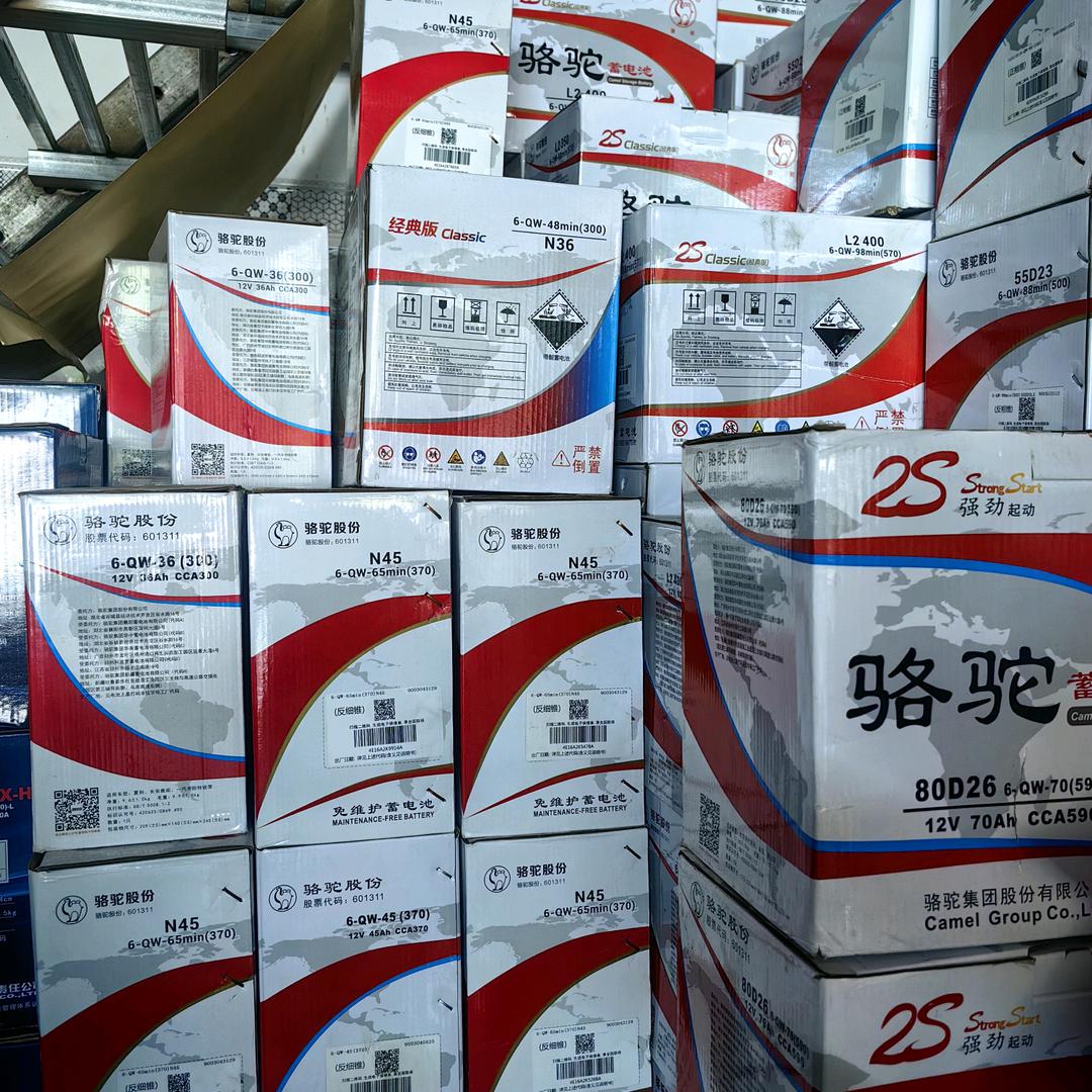 骆驼蓄电池全国上门安装（武鸣店）