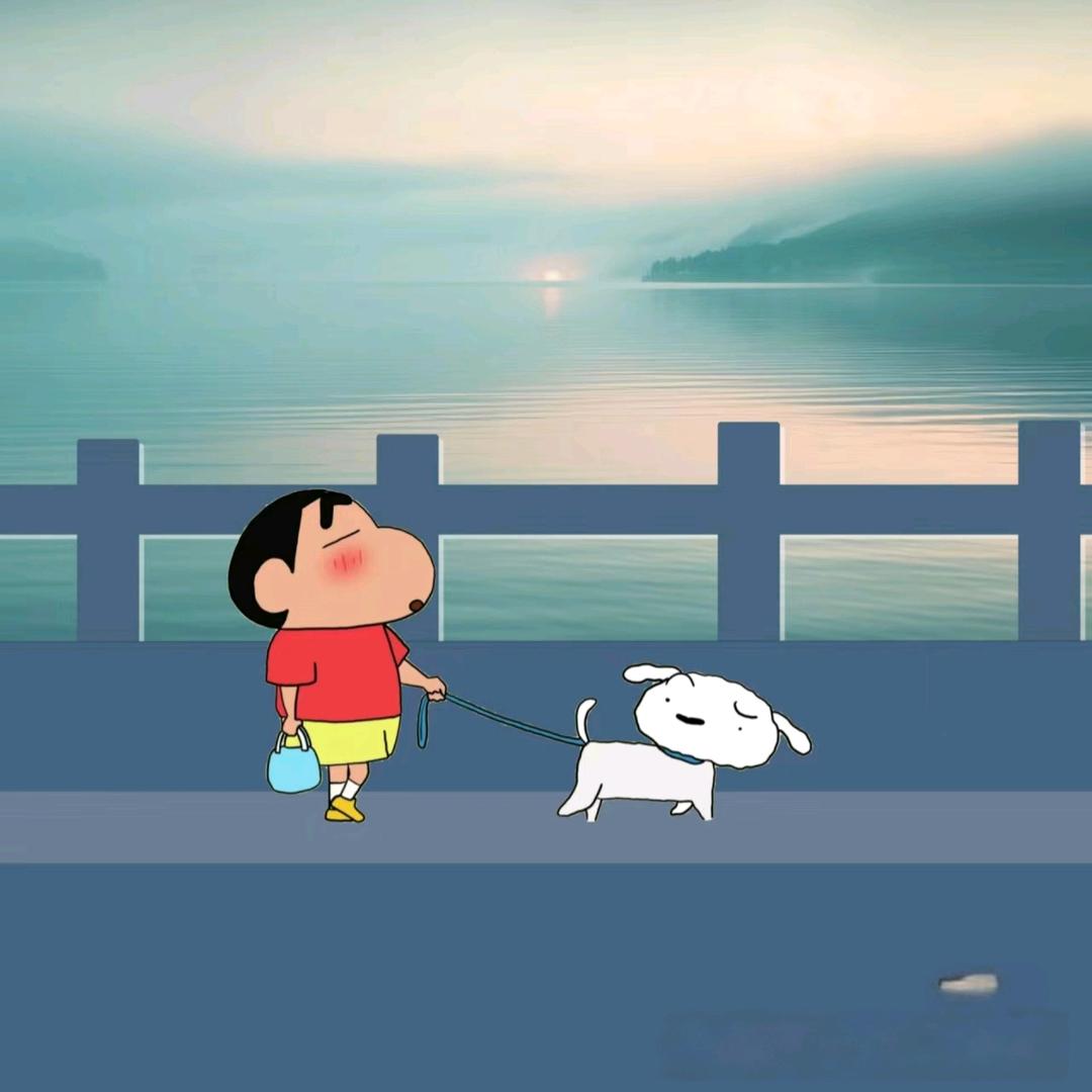 青岛国际物流-老苏