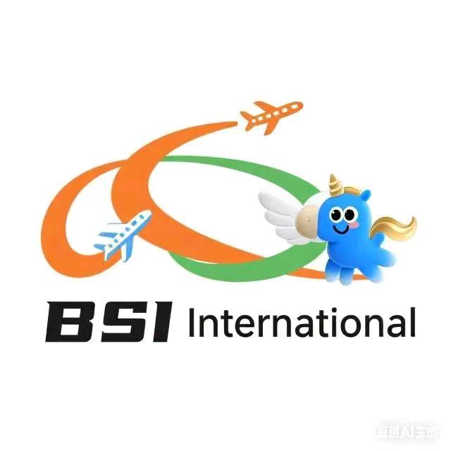 BSI佰事达货运有限公司
