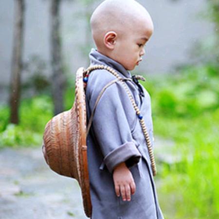 风向乔松