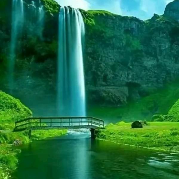 ℋღ᭄曾經🍒再美᭄也是傷࿐