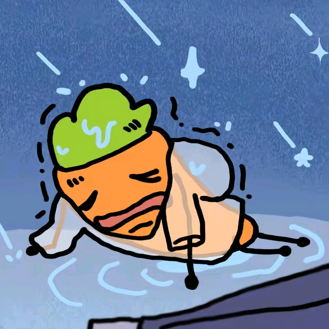 鸡毛