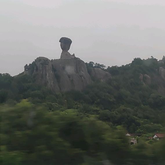 云南飞姐