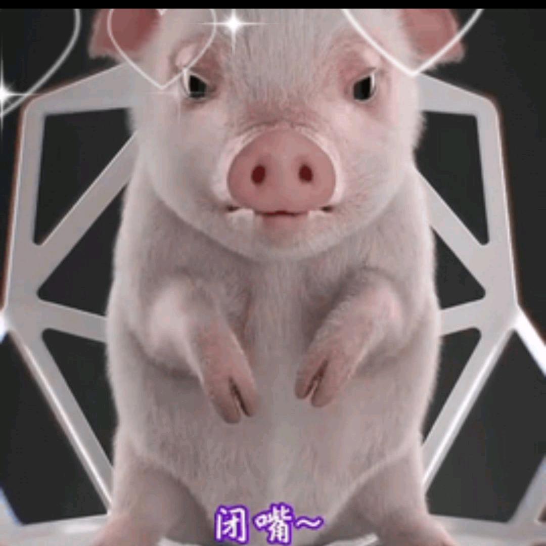 广州璇津贸易🐟🐟⚡️农村竹竿