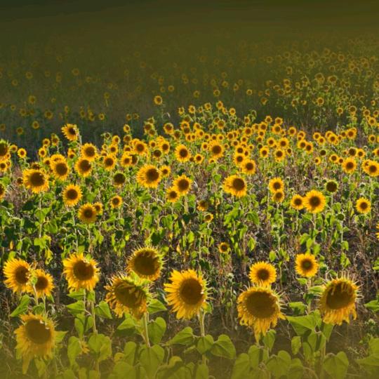 前世的爱，今生擦肩而过，，，，，，，，，