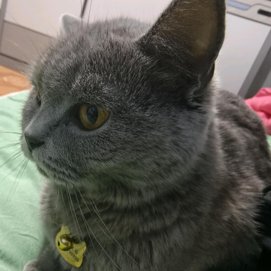 往事随风