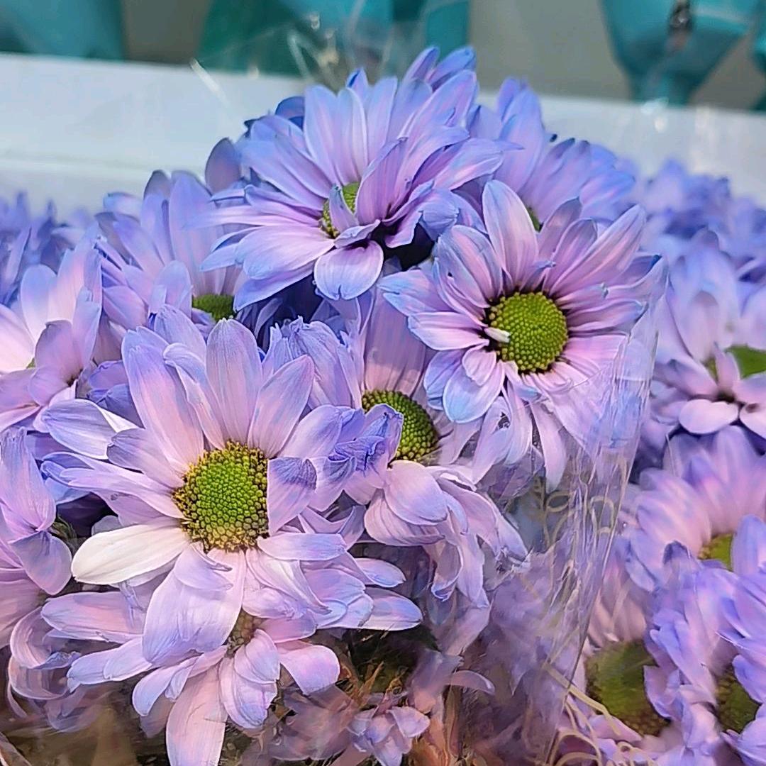 焕❁冉❁一♥