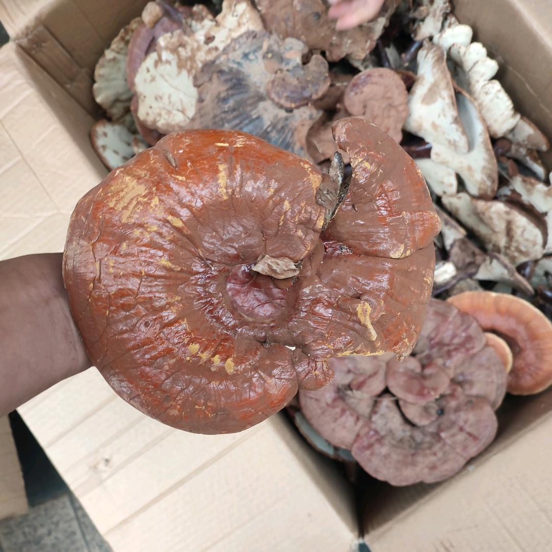 广西贵港八塘高速路口土特产