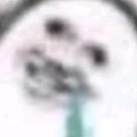 xxhh