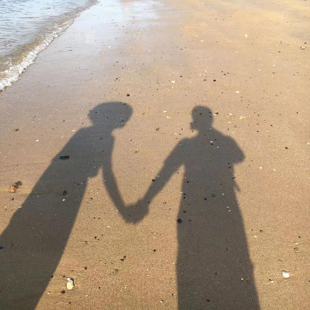 爱旅行的小夜猫