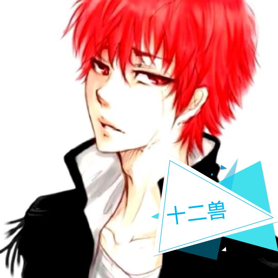 十二兽~楚伟（订台）🍾