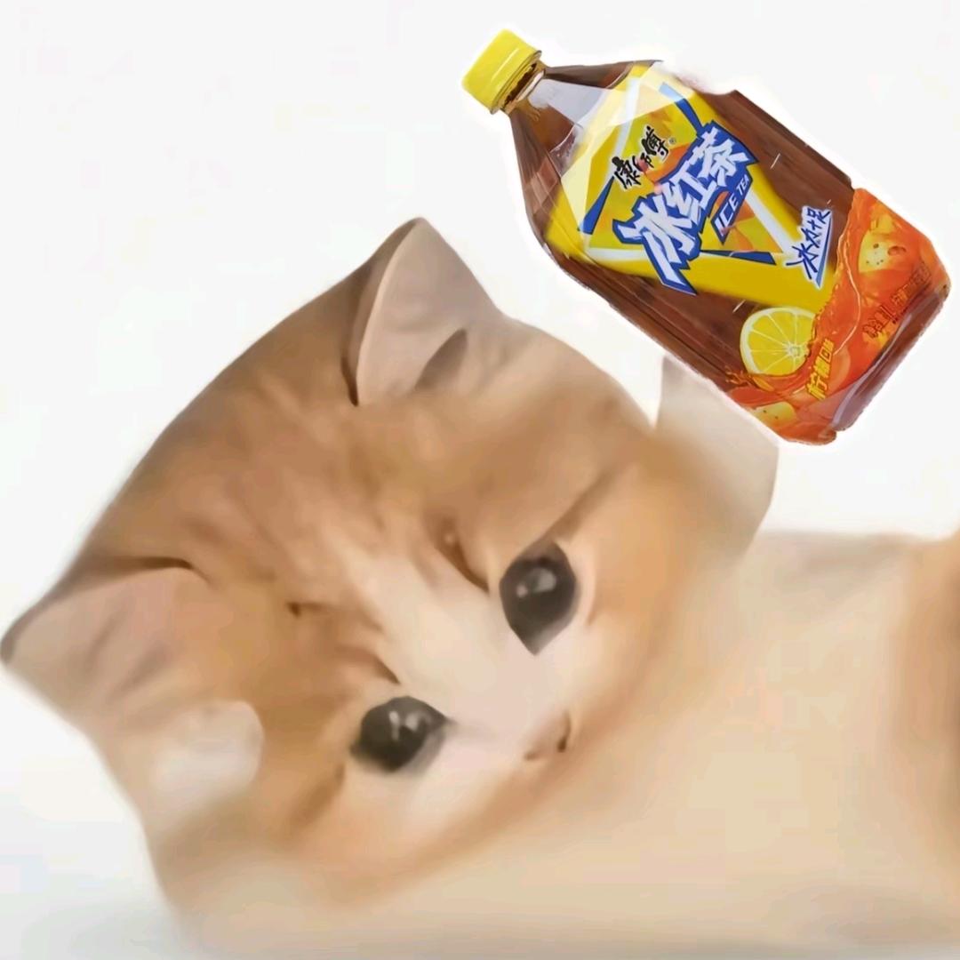 🐹🐼🐷🐸🐽🐨