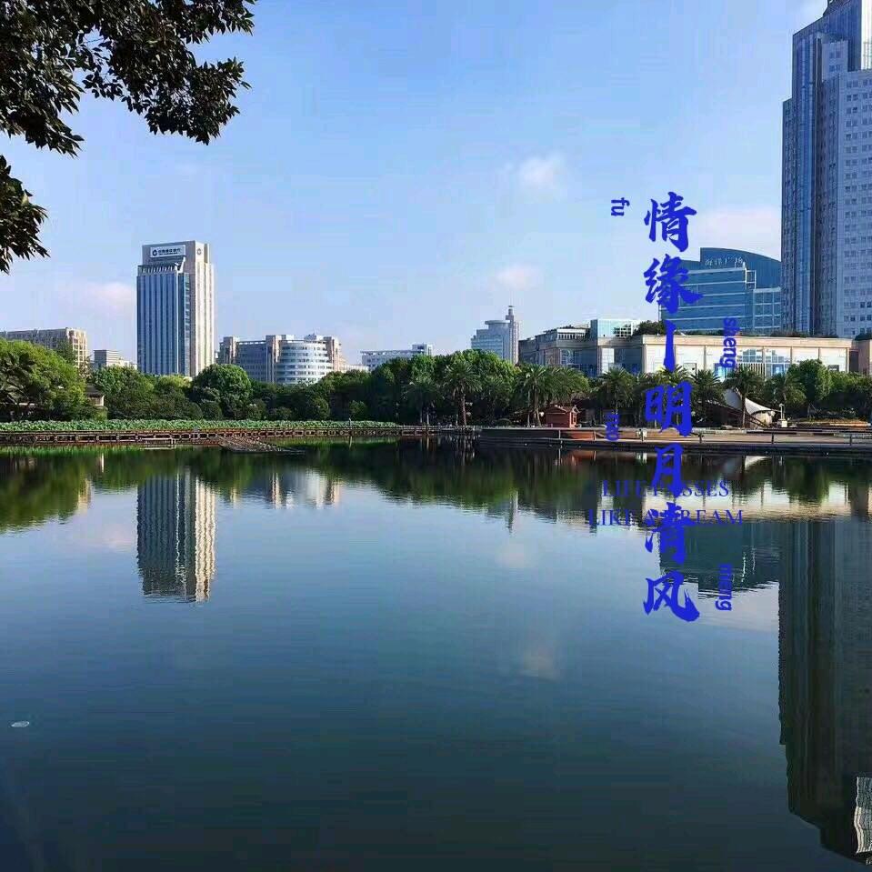 情缘-明月心