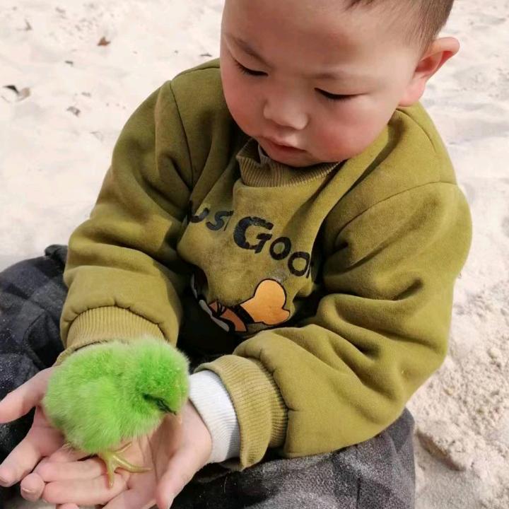 辞忧！