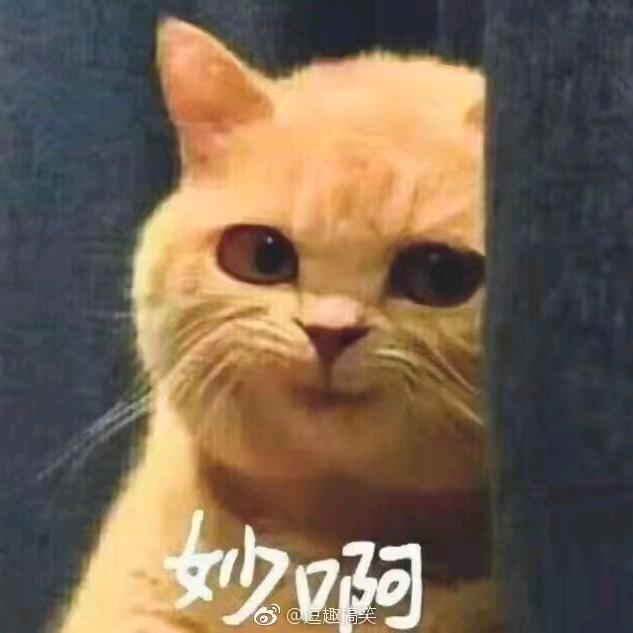 哆啦A梦