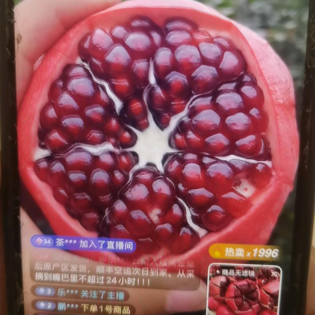 阿武 石榴季）