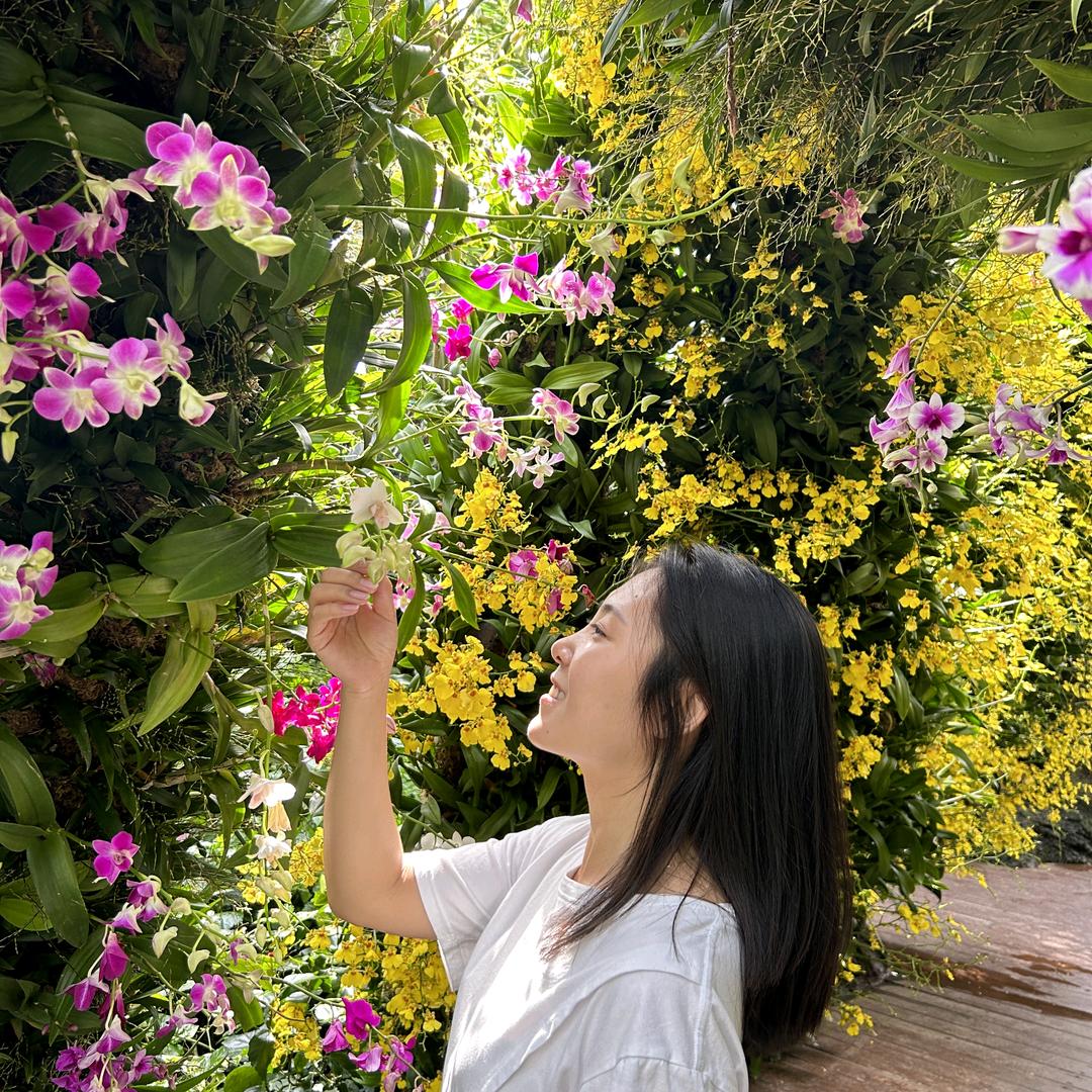 芒鹿