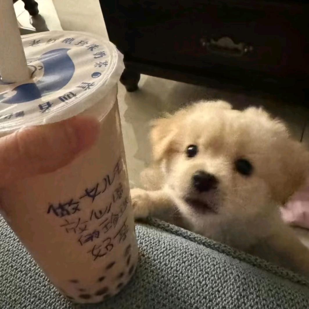 俯仰流年二十秋