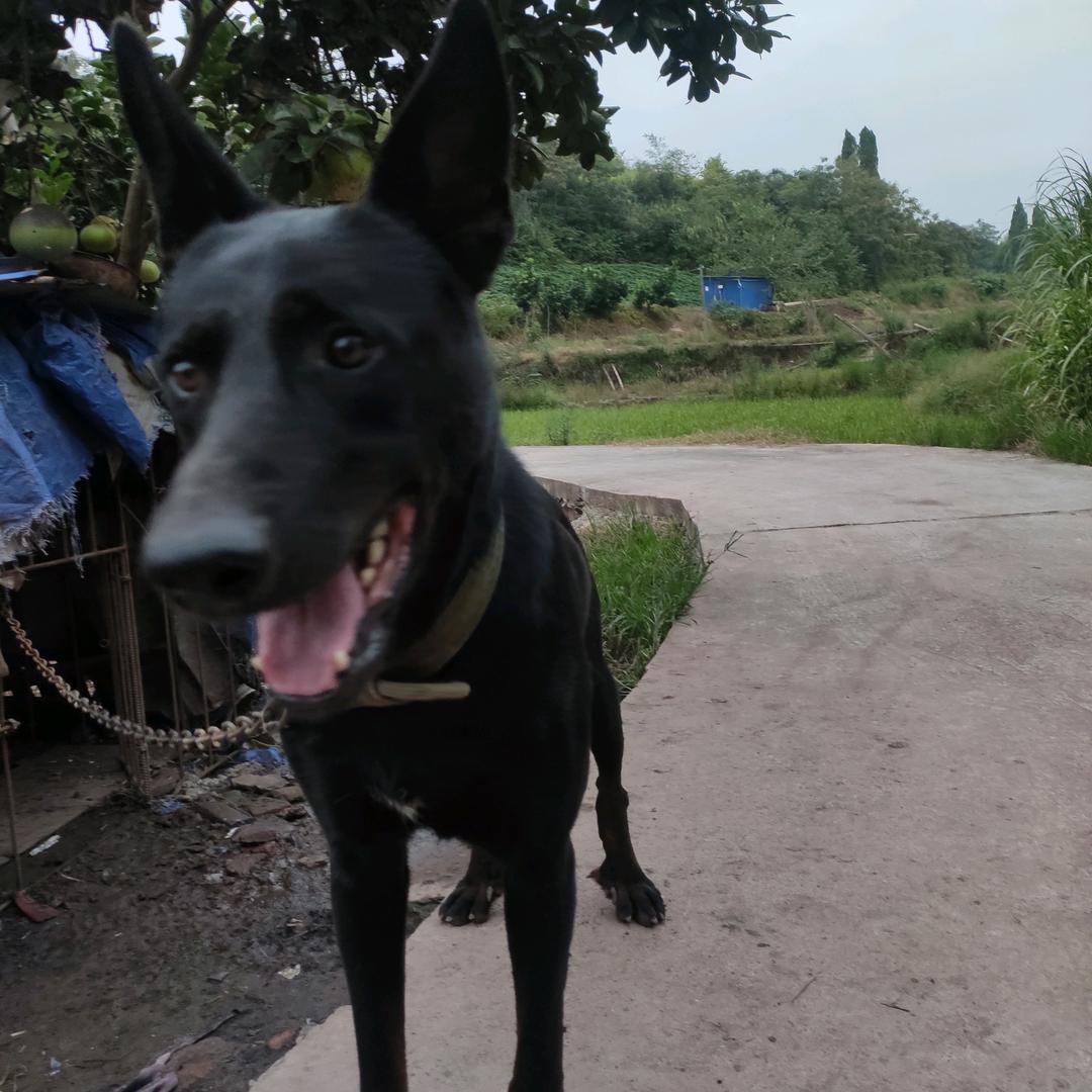 ꧁༺苦༒瓜༻꧂