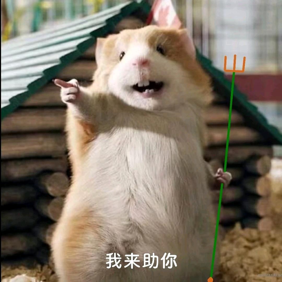摆烂已经成为梦想