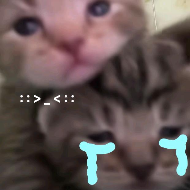 小拇指小