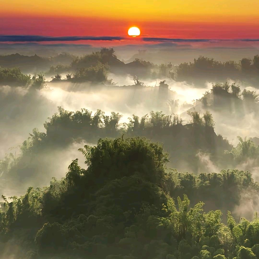 幸福一家（好物推荐）