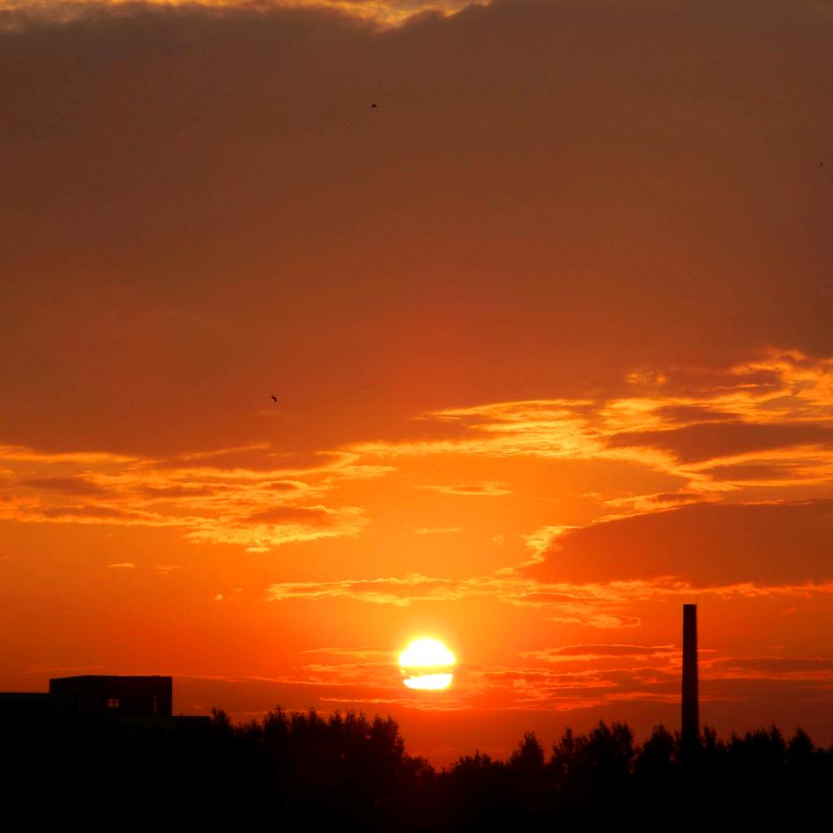 ღᩚ᭄ 烟花陌巷ৡᩚ࿐