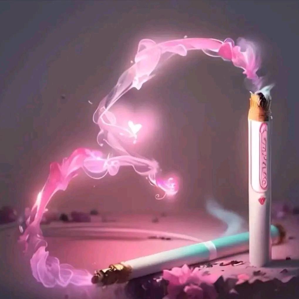 老杨的故事仓库