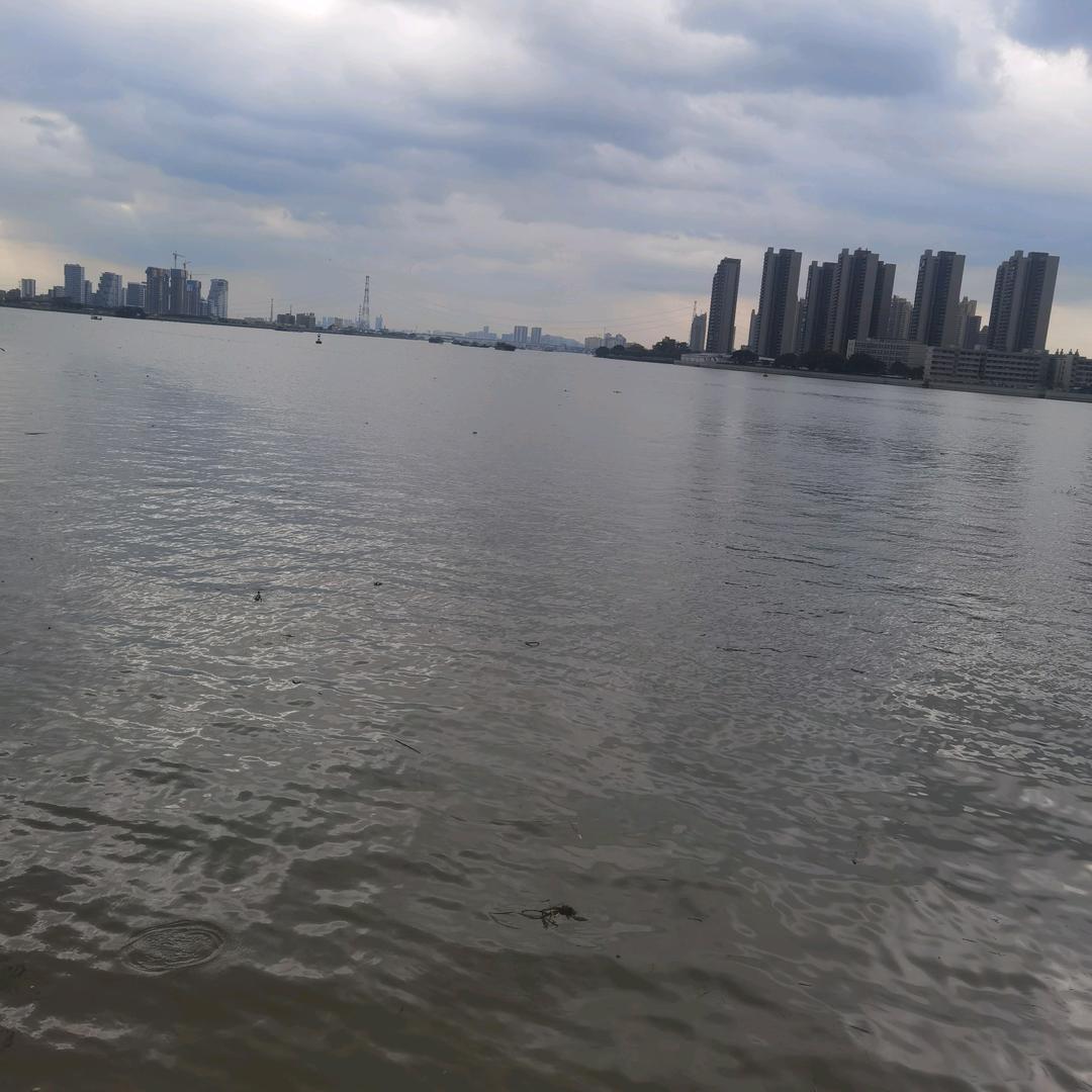 宋金河畔
