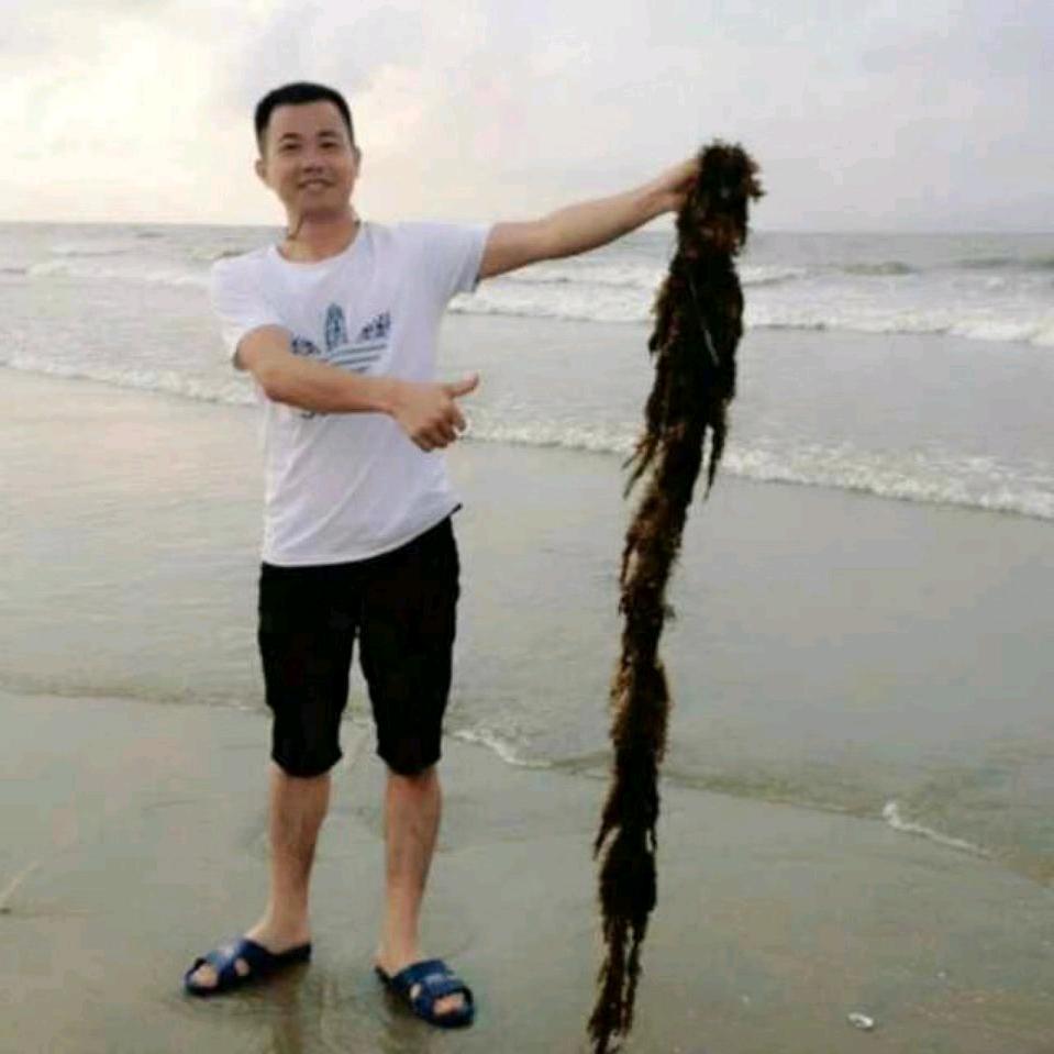 廖大海