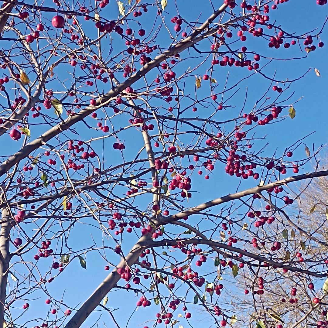 帮住他人，温暖自己