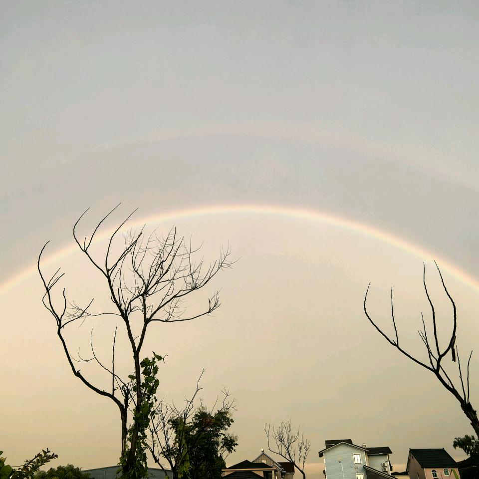 和光同尘