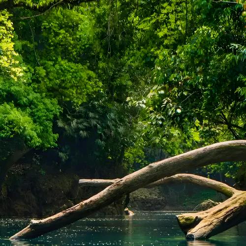 🚬᭄ℯ⃝謀財ღ᭄ꦿ꯭渡凡尘