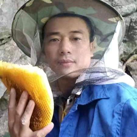 追蜂人
