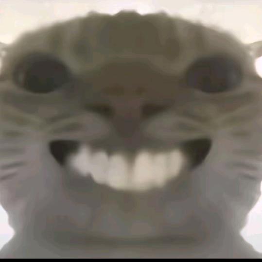 跑刀鼠鼠（三角洲行动）