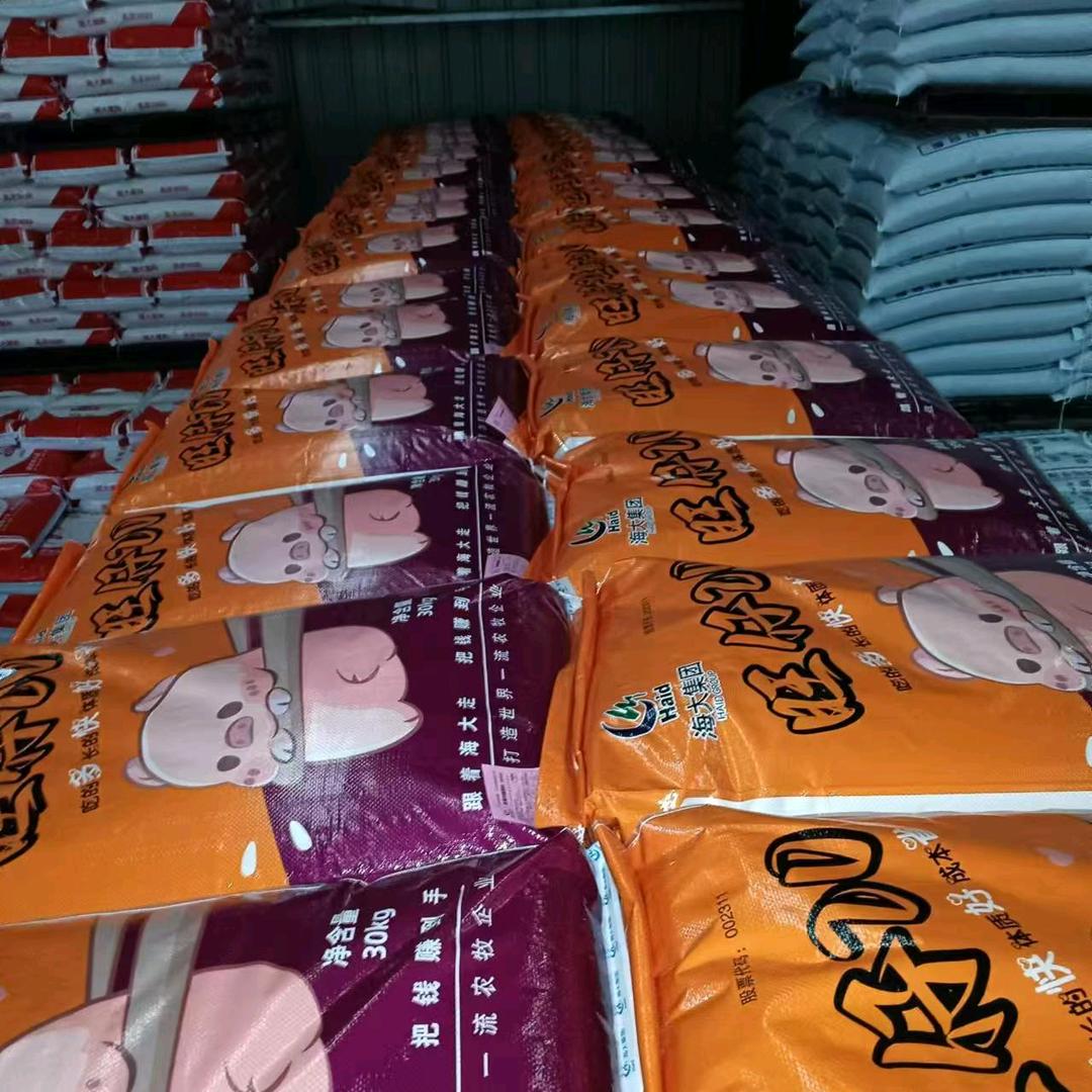 陈小波海大集团