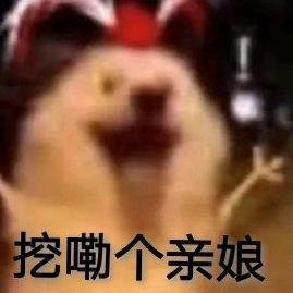 言盐言