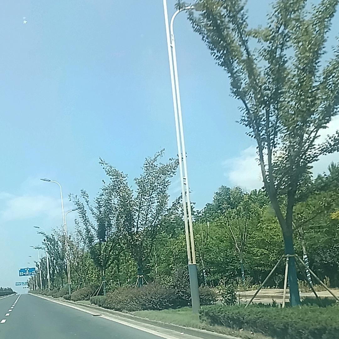 小羊同学