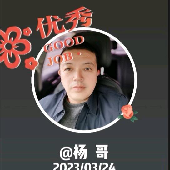 杨 哥 优选