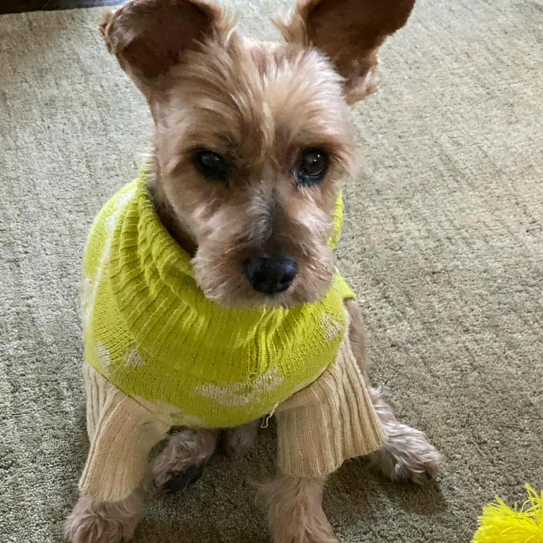 拖马斯游泳健身小张