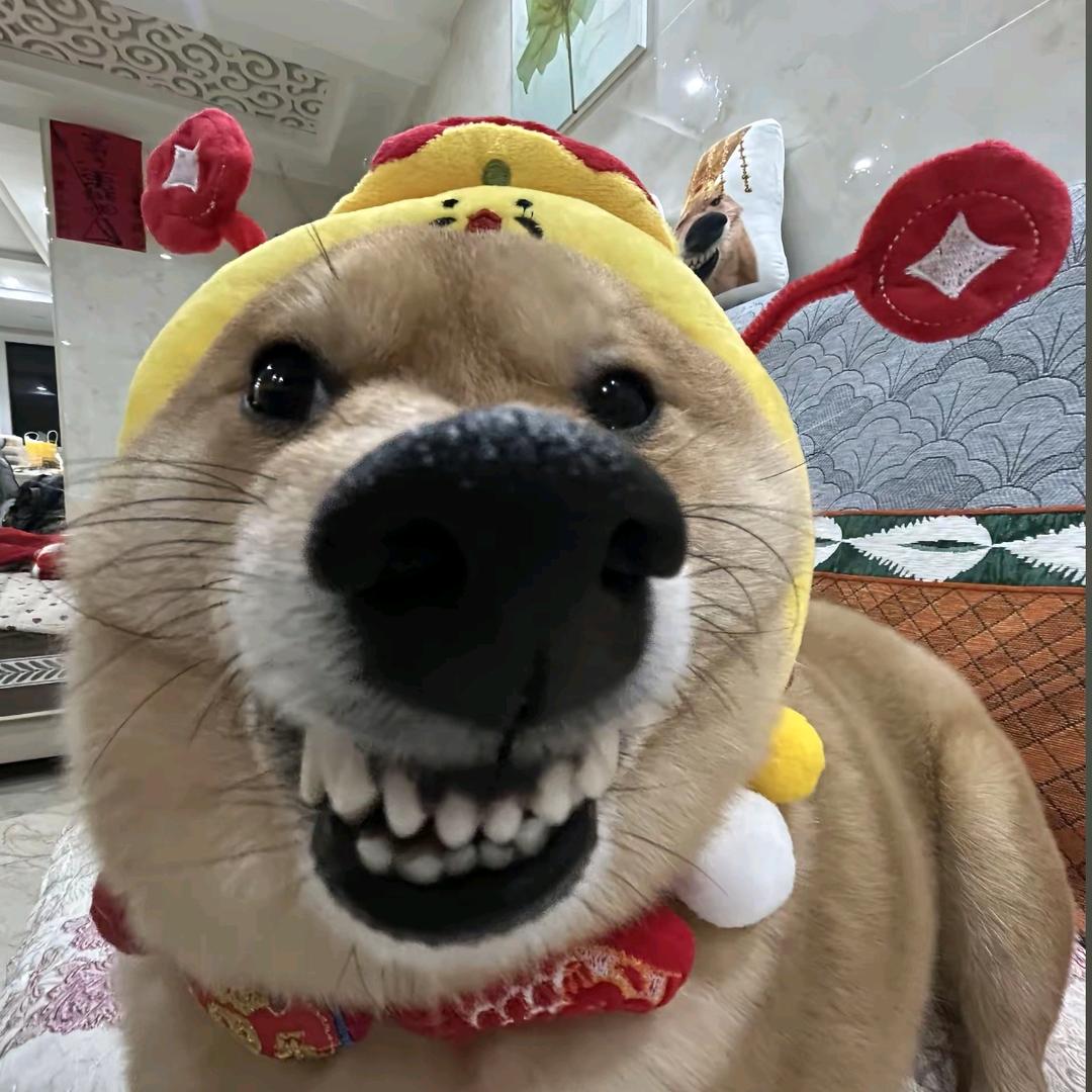 最后一页