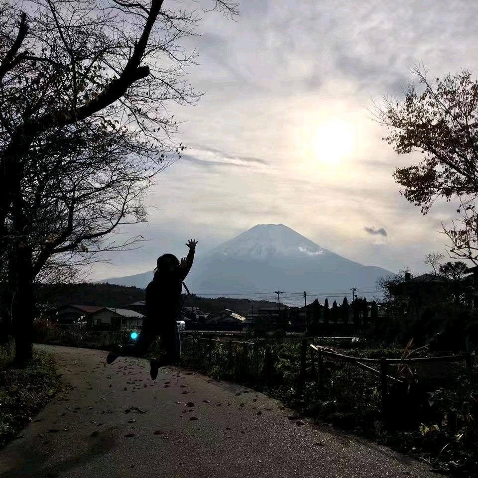 扶瑶直上