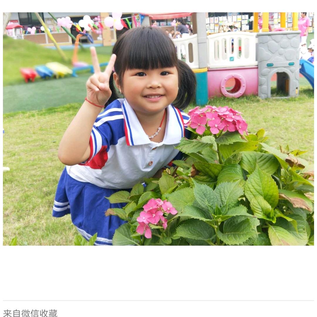 静梦之秋