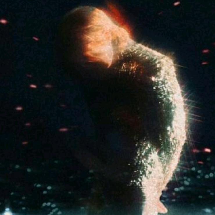 喜欢xn宝宝🌠