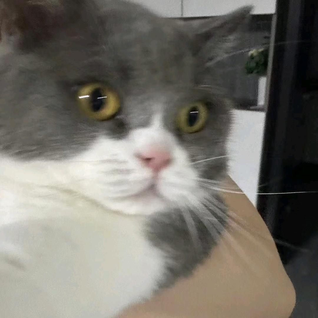 早安晚安安安！