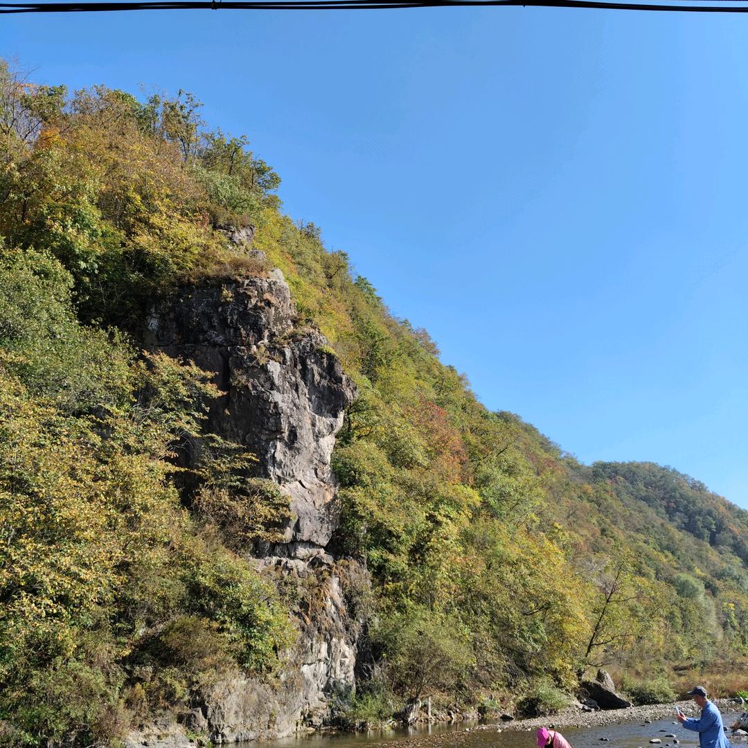 山青淡雅