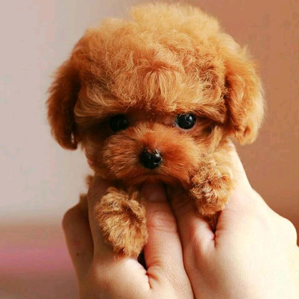 小张 ^O^